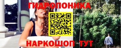 стаф Кунгур