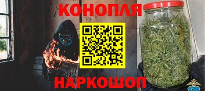 стаф Кунгур