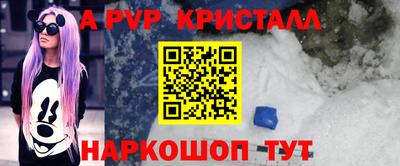 стаф Кунгур