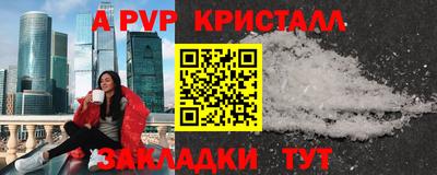 стаф Кунгур